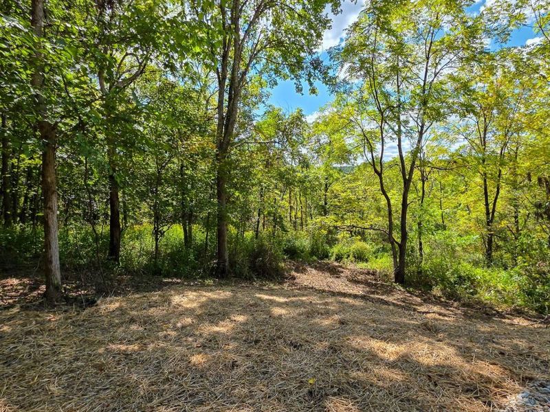 0 Tucker Road, Unit (Tract A a, New Straitsville, OH 43766 Photo 9