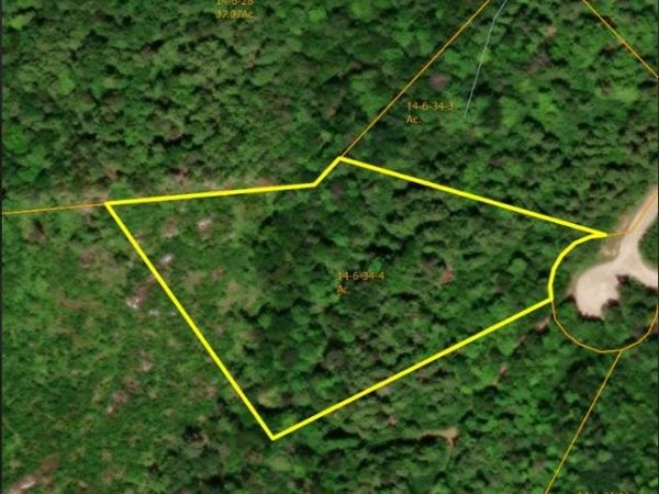 4 Seven Sisters Circle, Unit 4, Campton, NH 03223