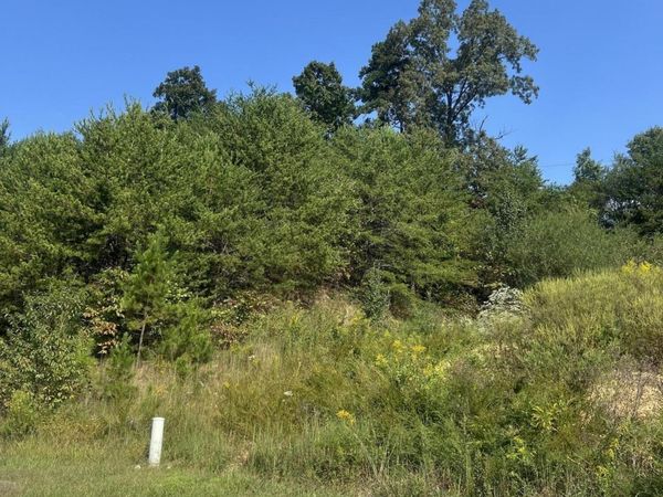 1733 Short Leaf Lane, Soddy Daisy, TN 37379