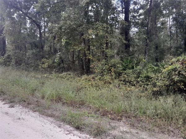 TBD NE 292ND AVENUE, OLD TOWN, FL 32680