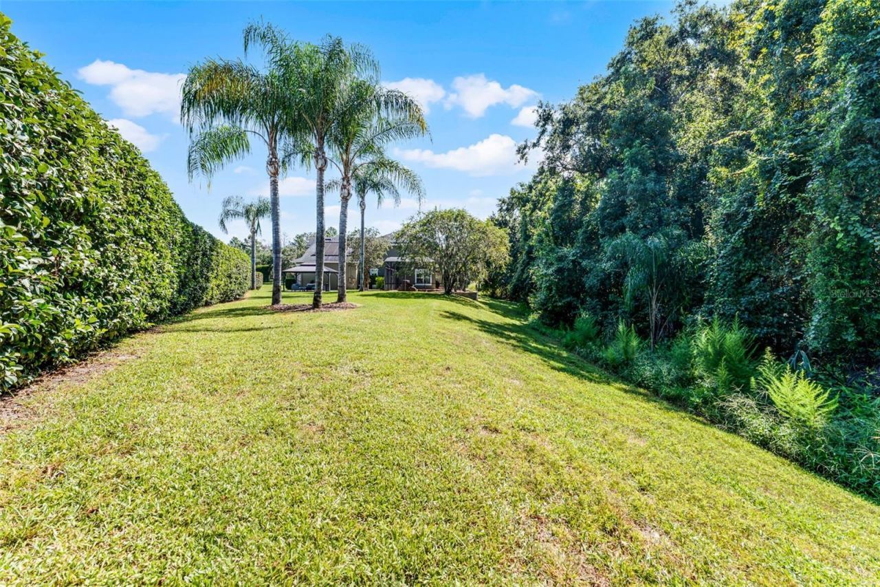 736 Grey Heron Place, Chuluota, FL 32766 Photo