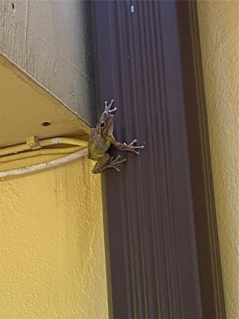 3810 Saxon Drive, New Smyrna Beach, FL 32169 Photo