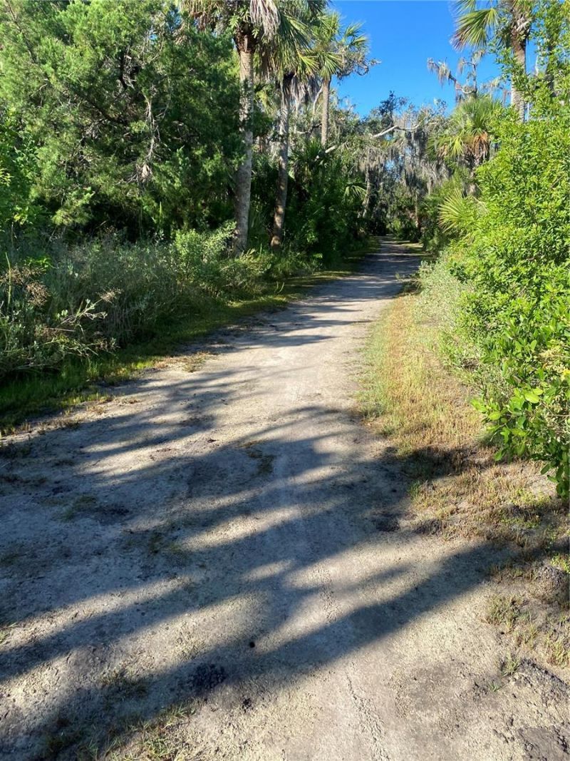 3810 Saxon Drive, New Smyrna Beach, FL 32169 Photo