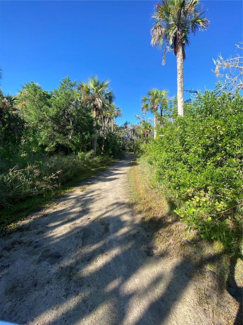 3810 Saxon Drive, New Smyrna Beach, FL 32169 Photo