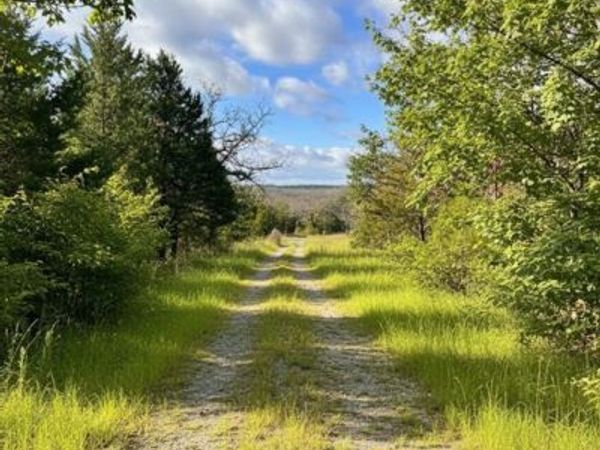 101 Perry Lane, Rattan, OK 74562