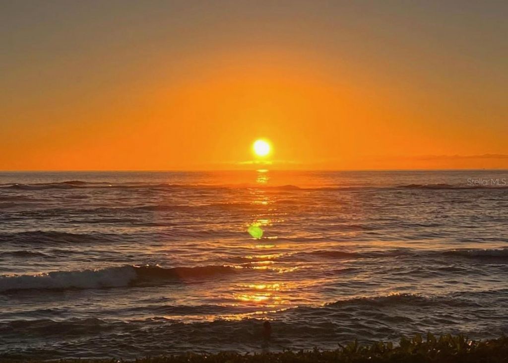 9245 Southern Breeze Drive, Orlando, FL 32836 Photo