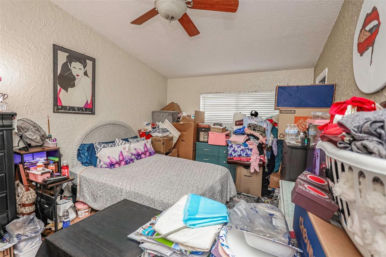 10039 88th Street, Seminole, FL 33777 Photo