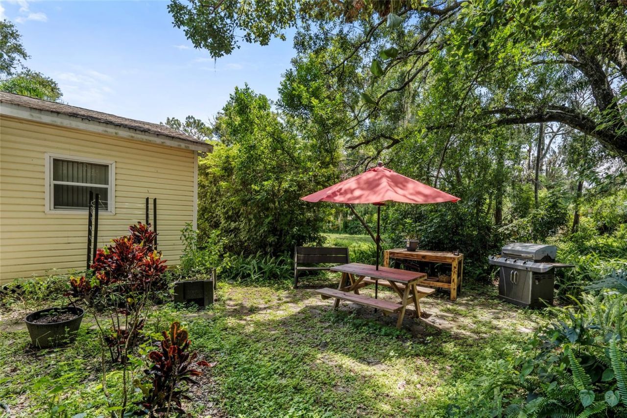 20125 Green Grass Lane, Lutz, FL 33558 Photo