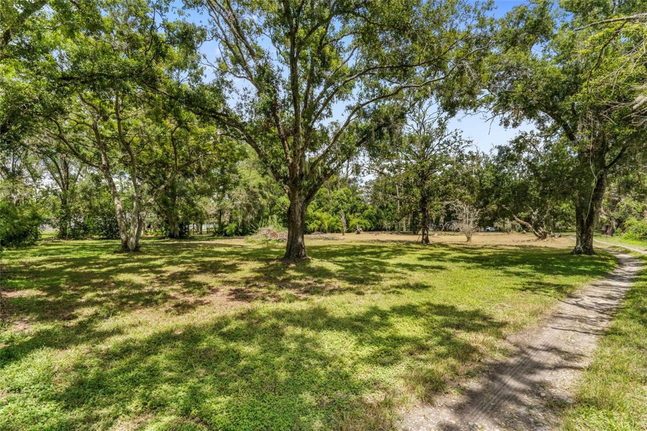 20125 Green Grass Lane, Lutz, FL 33558 Photo