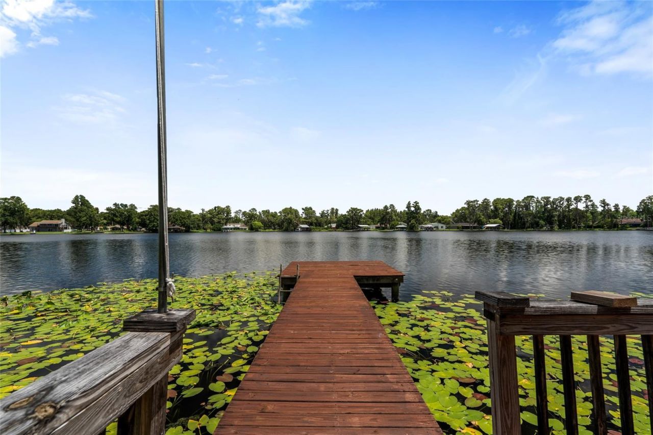 20125 Green Grass Lane, Lutz, FL 33558 Photo