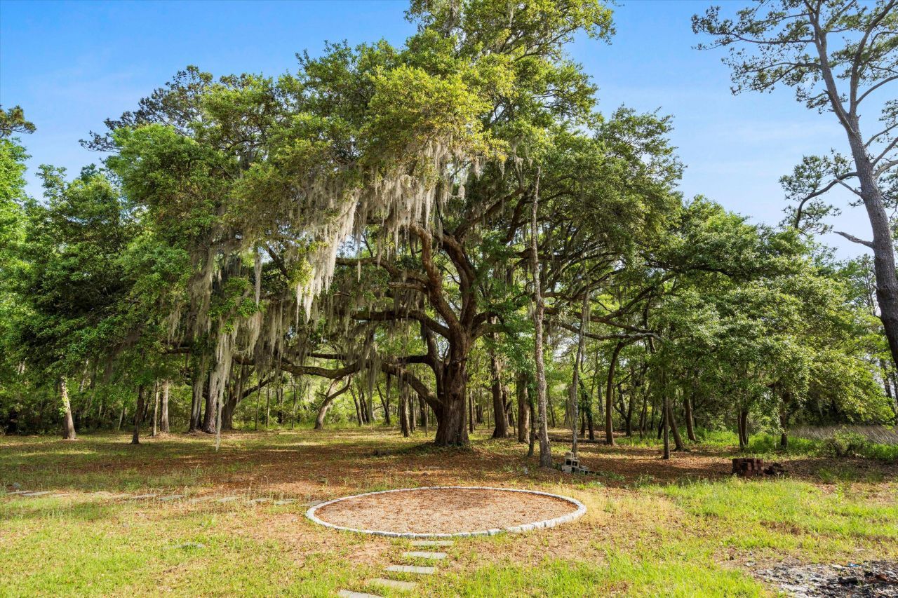 3399 Freeman Hill Road Photo 48