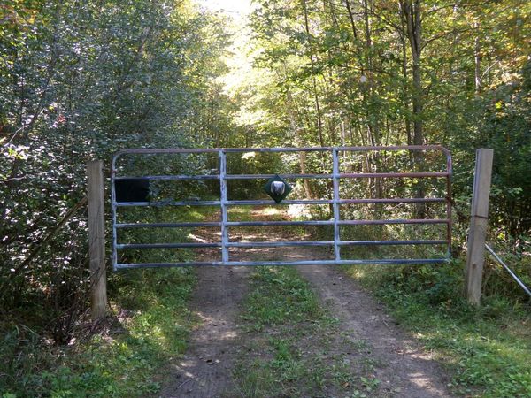 V/L 30AC Lake Winyah Road, Alpena, MI 49707