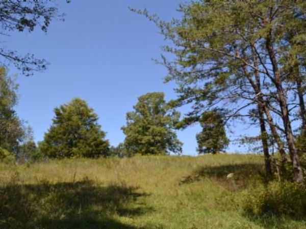 17.13ac Taylor Place Rd, Jamestown, TN 38504