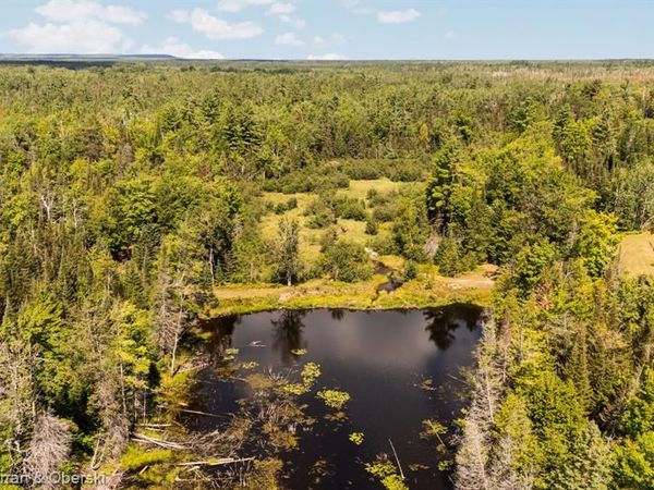 3265 Roost Road, Onaway, MI 49765