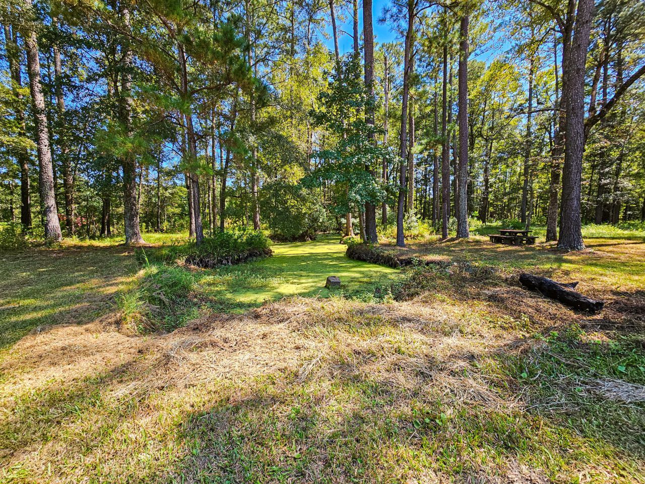 2650 Peirce Road Photo 8