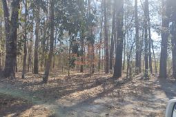 10839 Dorchester Road photo 4