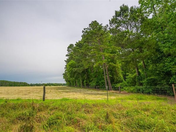 4206 Gilliam Ln , Naples, TX 75568