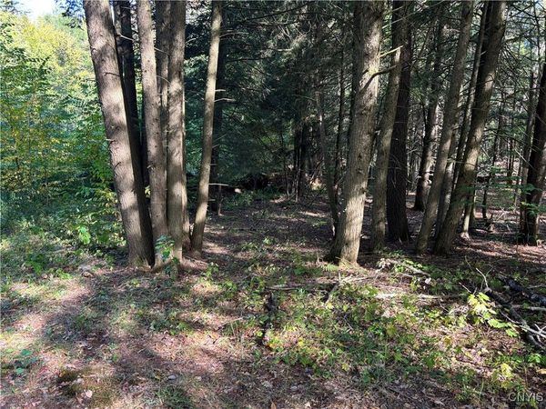 7639 Oakville Terrace, Floyd, NY 13440