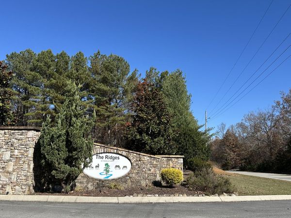 0 Thunder Ridge Drive, South Pittsburg, TN 37380