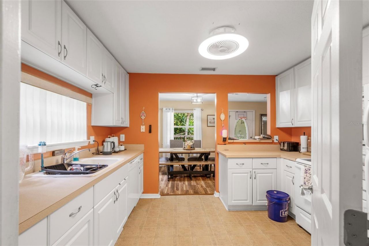 20105 Green Grass Lane, Lutz, FL 33558 Photo