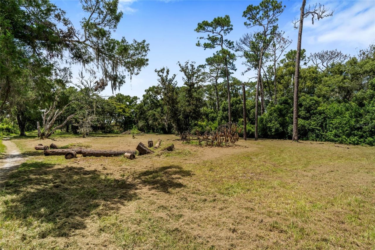 20105 Green Grass Lane, Lutz, FL 33558 Photo