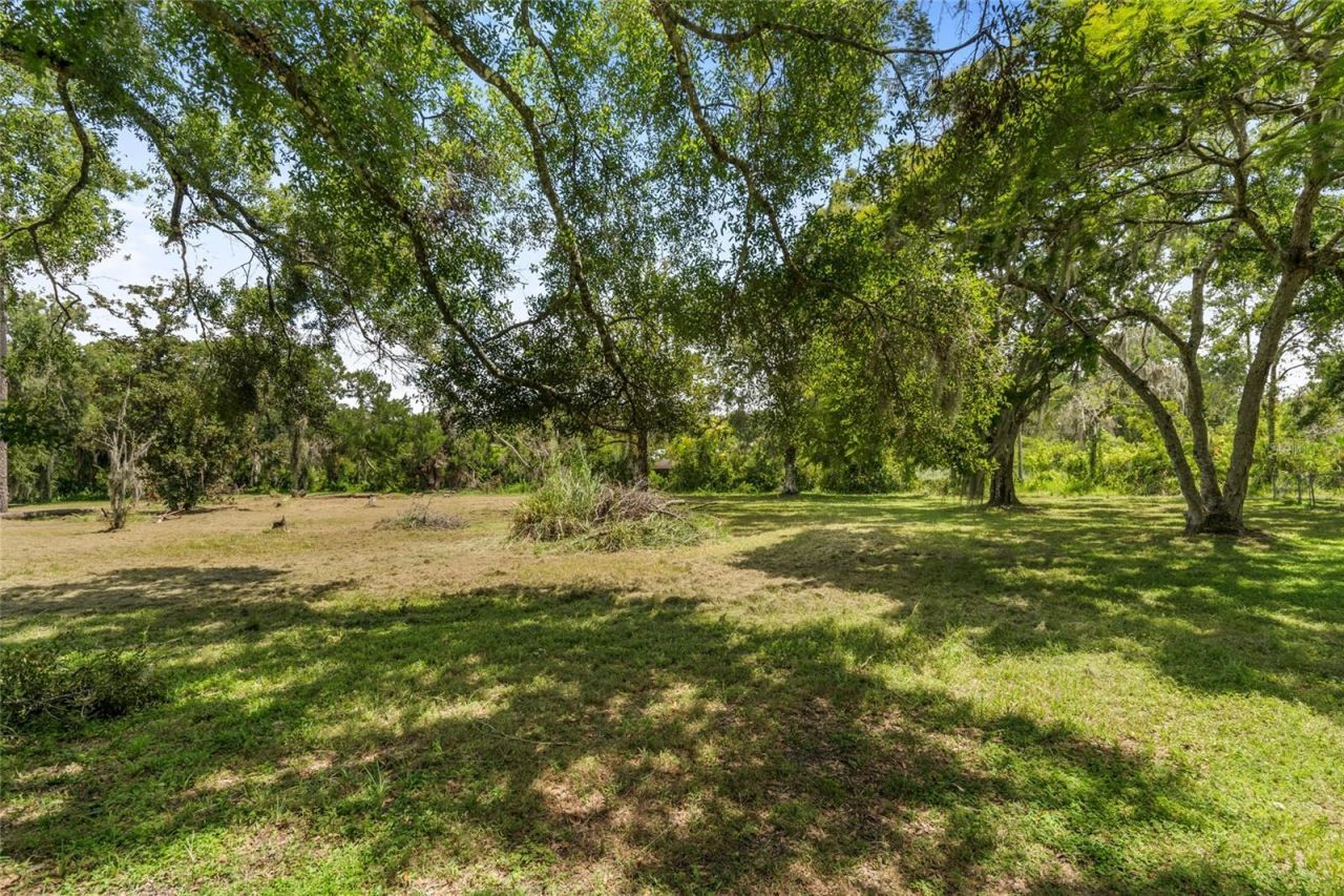 20105 Green Grass Lane, Lutz, FL 33558 Photo