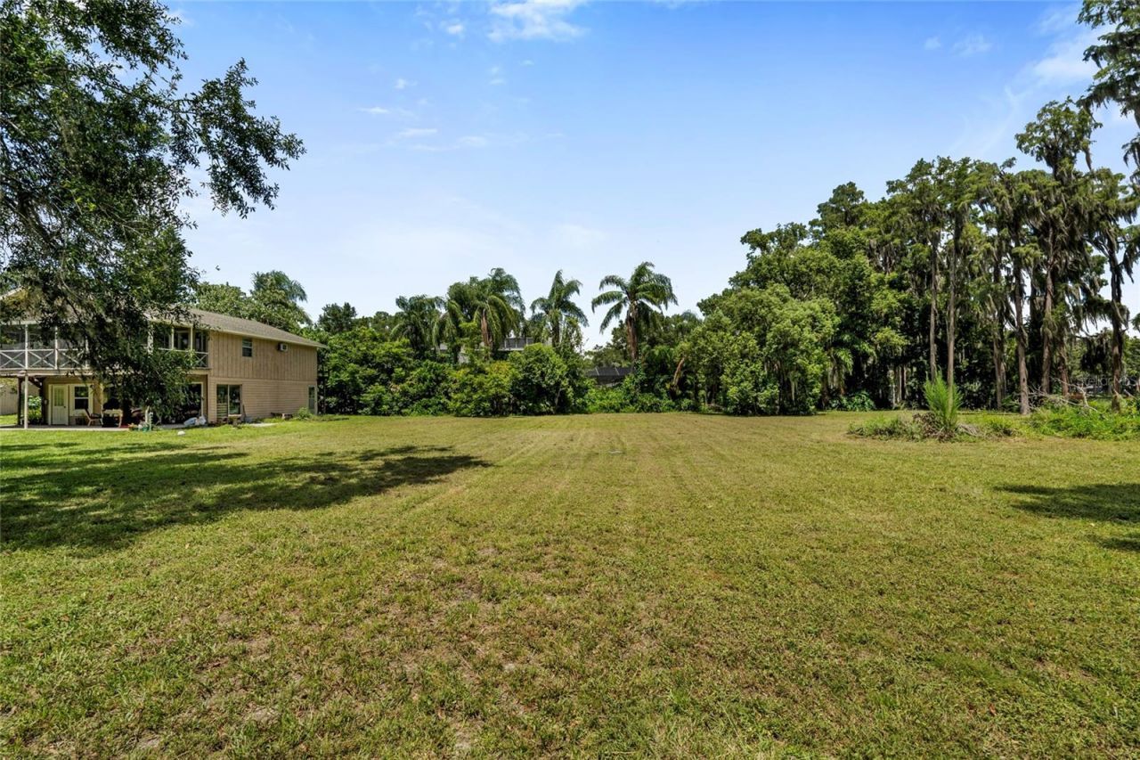 20105 Green Grass Lane, Lutz, FL 33558 Photo