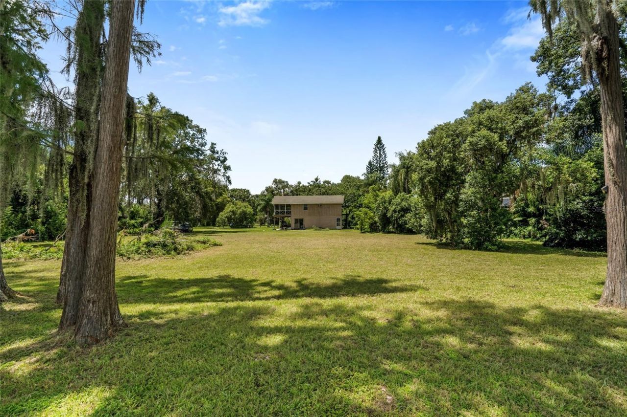 20105 Green Grass Lane, Lutz, FL 33558 Photo