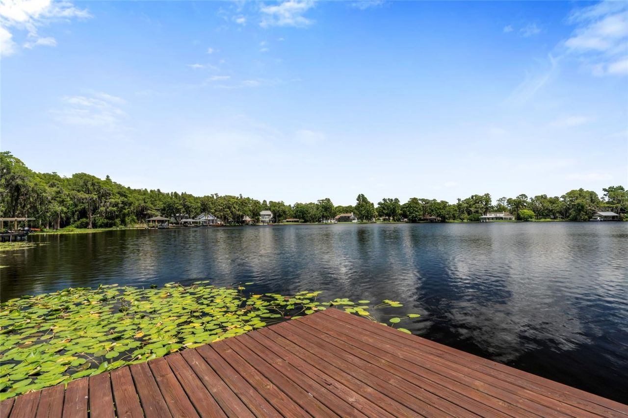 20105 Green Grass Lane, Lutz, FL 33558 Photo