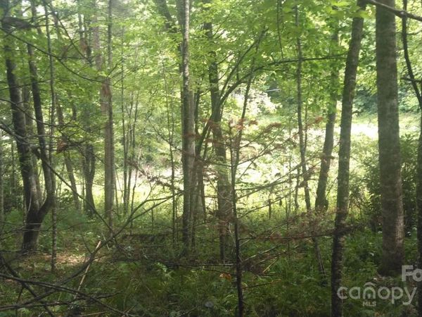 7360 NC 183 Highway, Newland, NC 28657