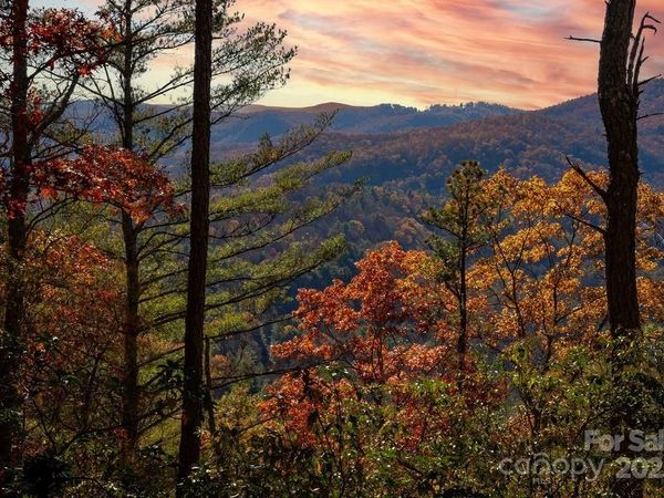 TBD Morgan Drive, Penrose, NC 28766