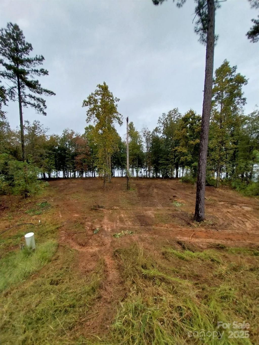 3298 Belford Trail, Connelly Springs, NC 28612 Main Photo