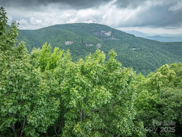 000 Meadow Ridge Drive, Lake Toxaway, NC 28747