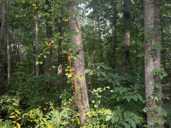 0 CROOKED Trail, Gainesville, GA 30506