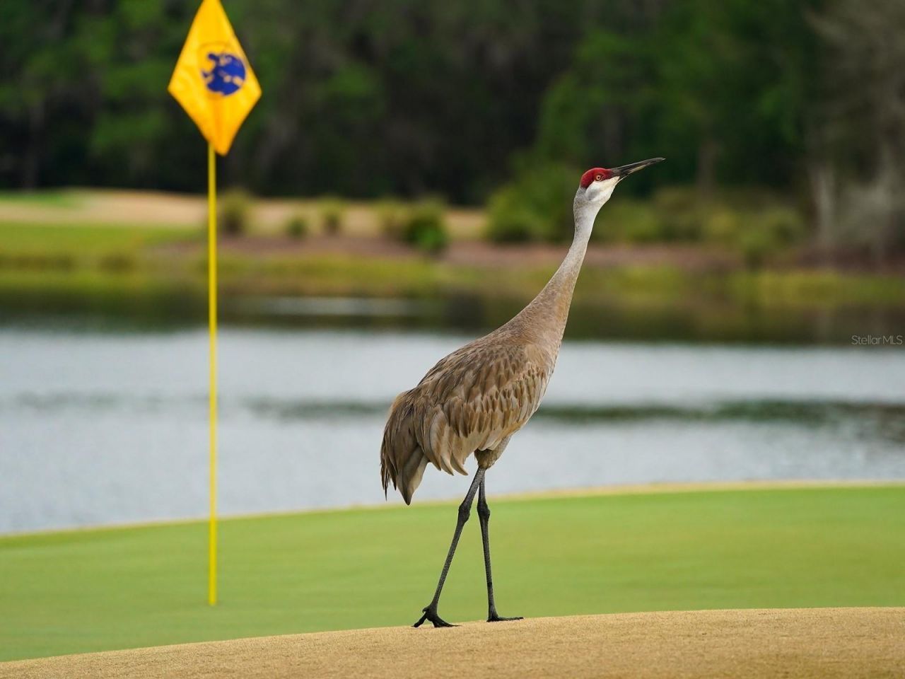 8305 Farington Court, Bradenton, FL 34202 Photo