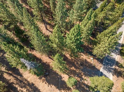 1344 Ottawa Drive, South Lake Tahoe, CA 96150 Photo
