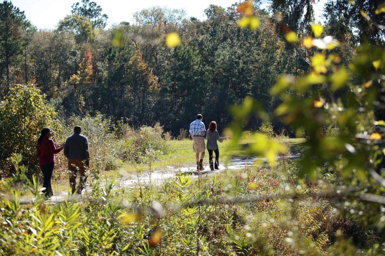 131 Collared Dove Court Photo 43
