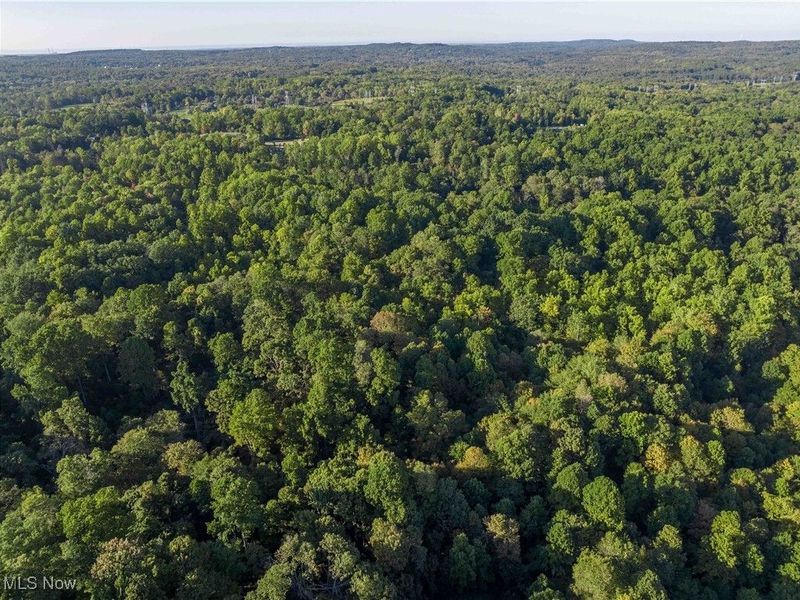 9448 Mayfield Road, Chesterland, OH 44026 Photo 13