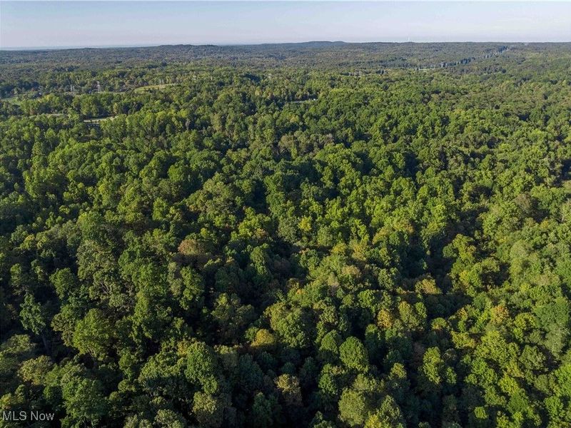 9448 Mayfield Road, Chesterland, OH 44026 Photo 14