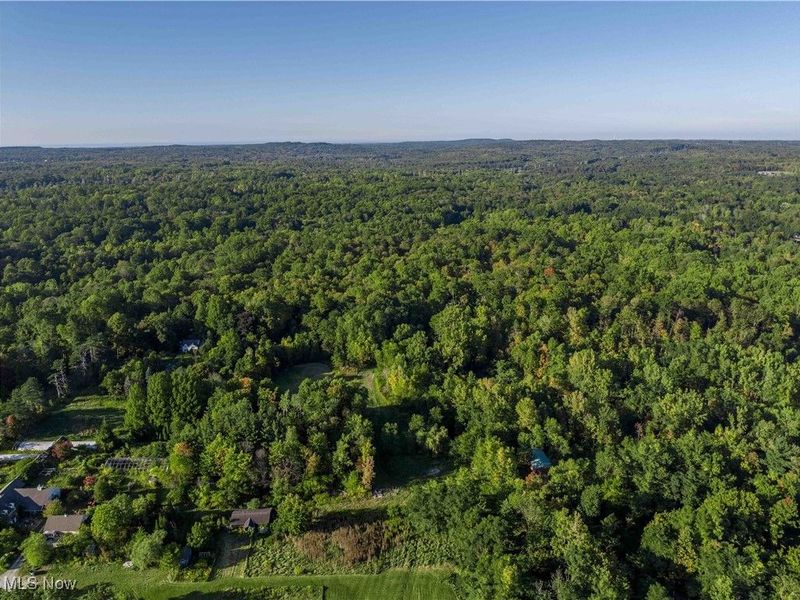 9448 Mayfield Road, Chesterland, OH 44026 Photo 3