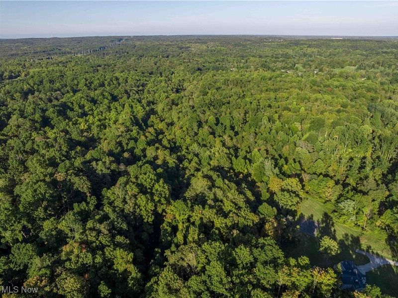 9448 Mayfield Road, Chesterland, OH 44026 Photo 7