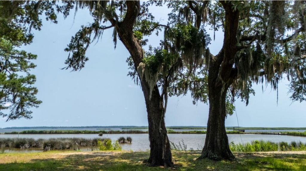 951 Herriott Farms Drive Photo 17