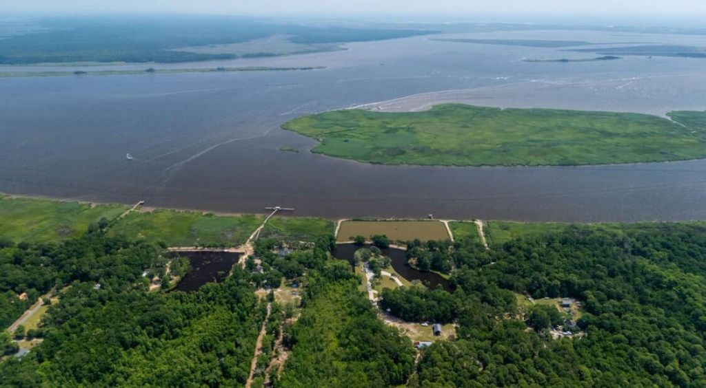 951 Herriott Farms Drive Photo 21