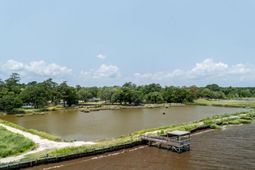 951 Herriott Farms Drive photo 4