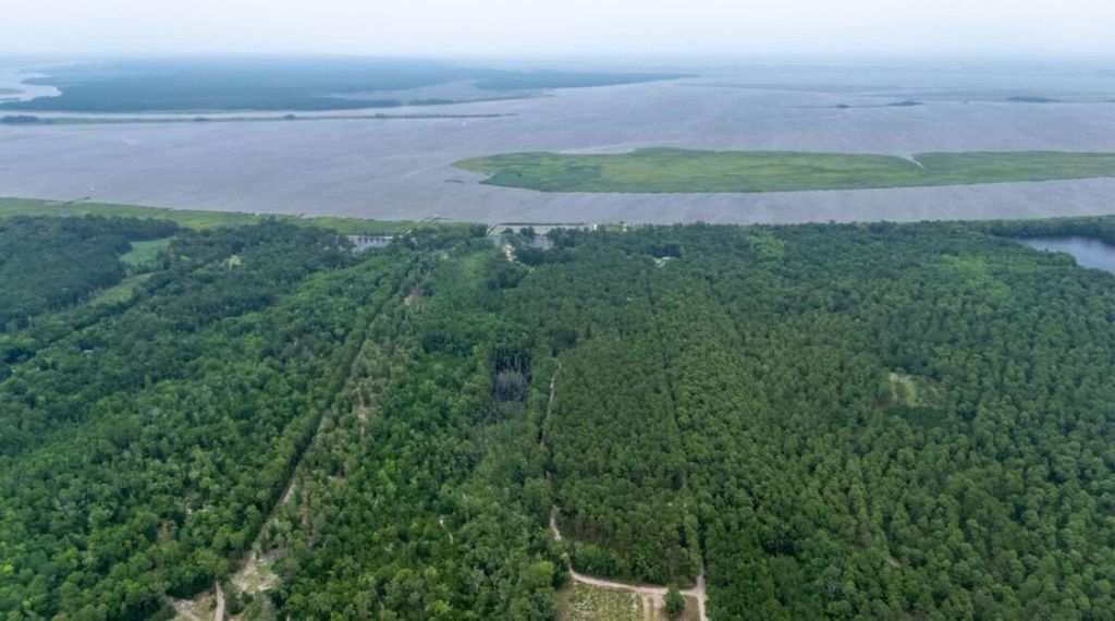 951 Herriott Farms Drive Photo 7