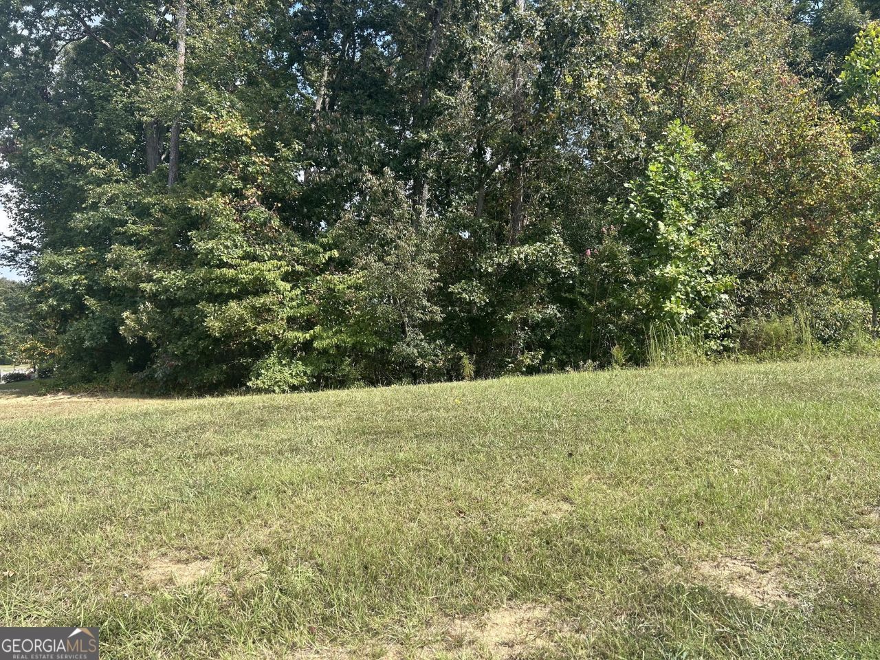 1381 Larose Drive, Lot #LOT 55A, Hoschton, GA 30548 Main Photo