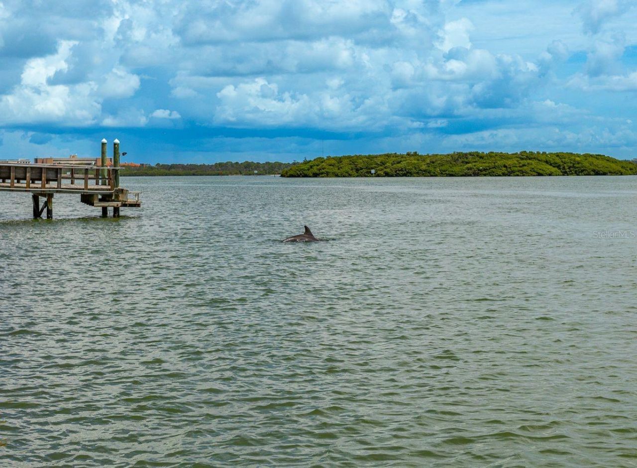 445 129th Avenue E, Madeira Beach, FL 33708 Photo