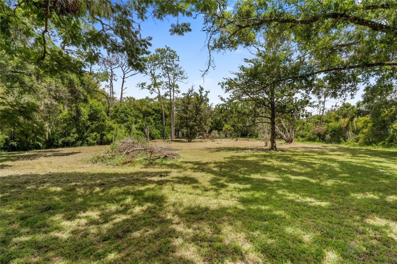 Na, Lutz, FL 33558 Photo