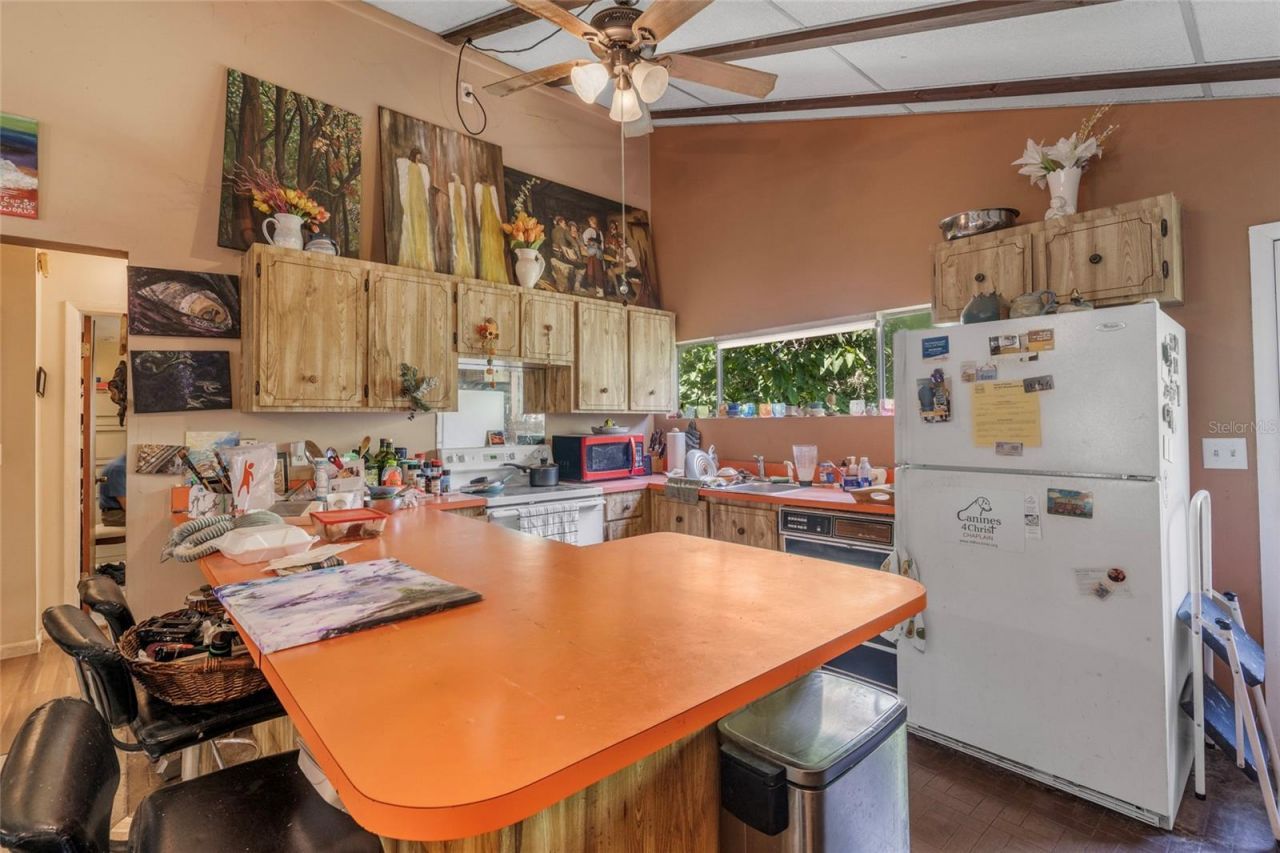 Na, Lutz, FL 33558 Photo