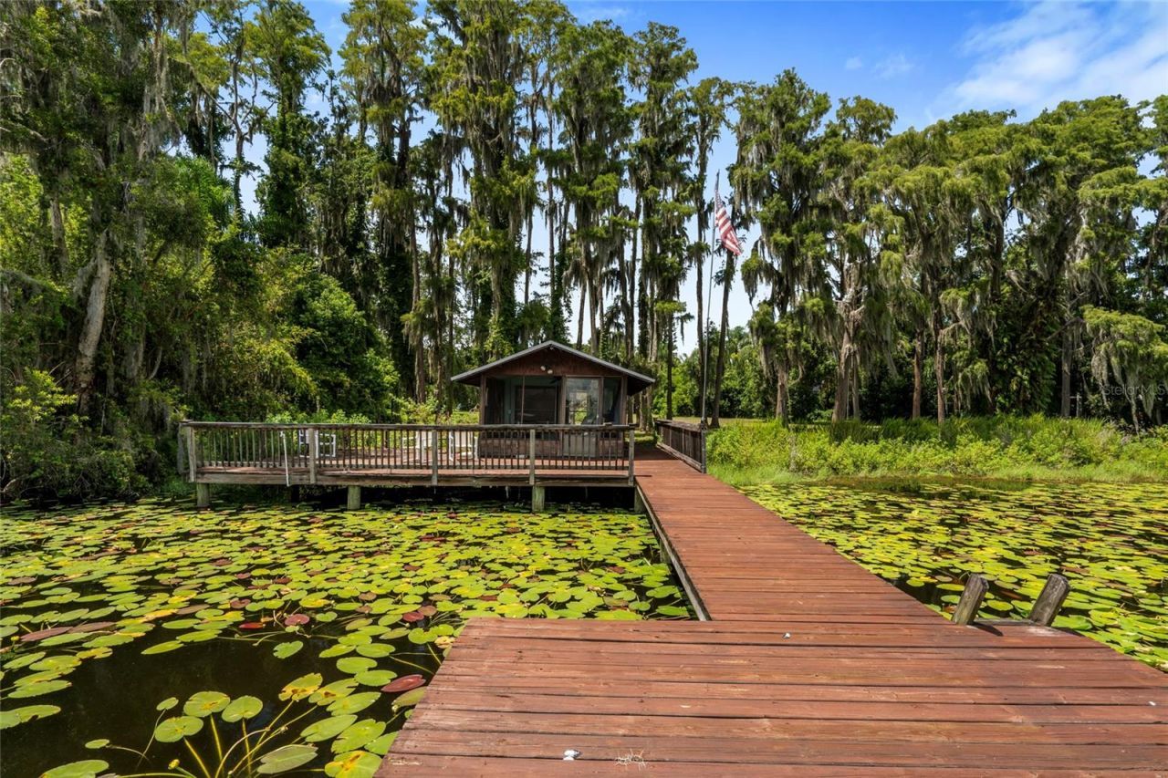 Na, Lutz, FL 33558 Photo